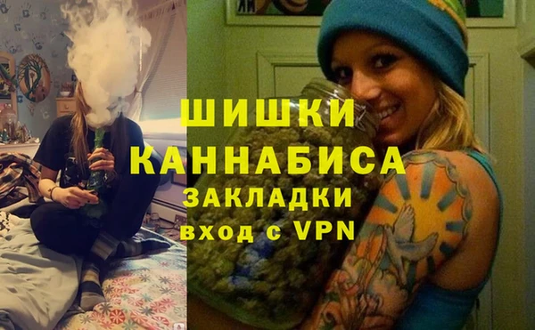 ПСИЛОЦИБИНОВЫЕ ГРИБЫ Верхнеуральск
