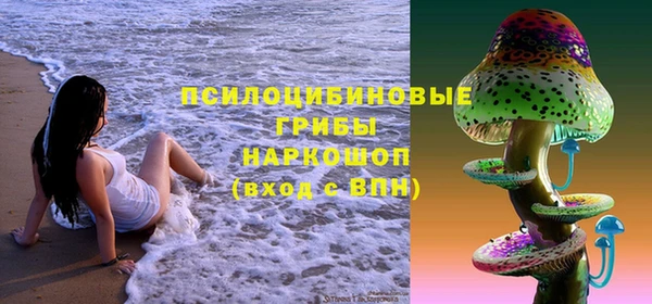 ПСИЛОЦИБИНОВЫЕ ГРИБЫ Верхнеуральск