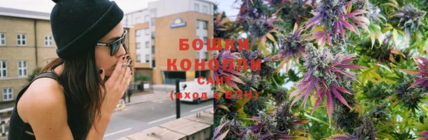 ПСИЛОЦИБИНОВЫЕ ГРИБЫ Верхнеуральск